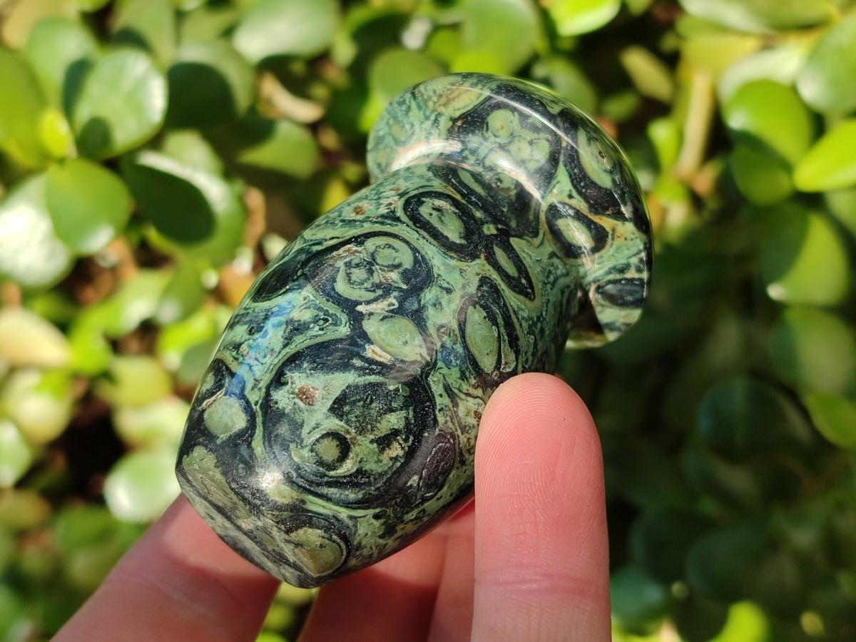 Polished Stromatolite "Kambaba Jasper" Mushrooms x 12 From Katsepy, Madagascar - Toprock Gemstones and Minerals 