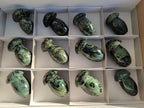 Polished Stromatolite "Kambaba Jasper" Mushrooms x 12 From Katsepy, Madagascar - Toprock Gemstones and Minerals 