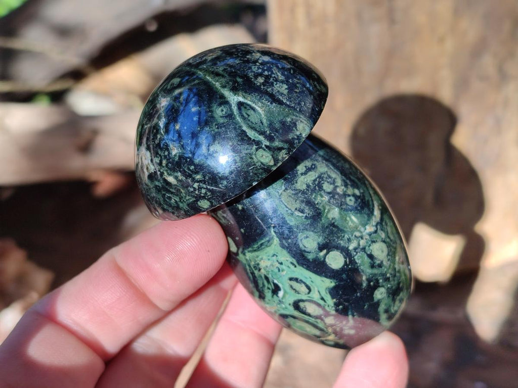 Polished Stromatolite "Kambaba Jasper" Mushrooms x 12 From Katsepy, Madagascar - Toprock Gemstones and Minerals 