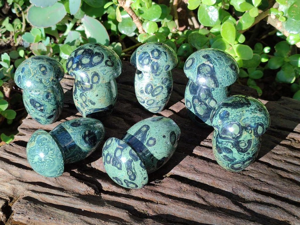 Polished Stromatolite "Kambaba Jasper" Mushrooms x 12 From Katsepy, Madagascar - Toprock Gemstones and Minerals 