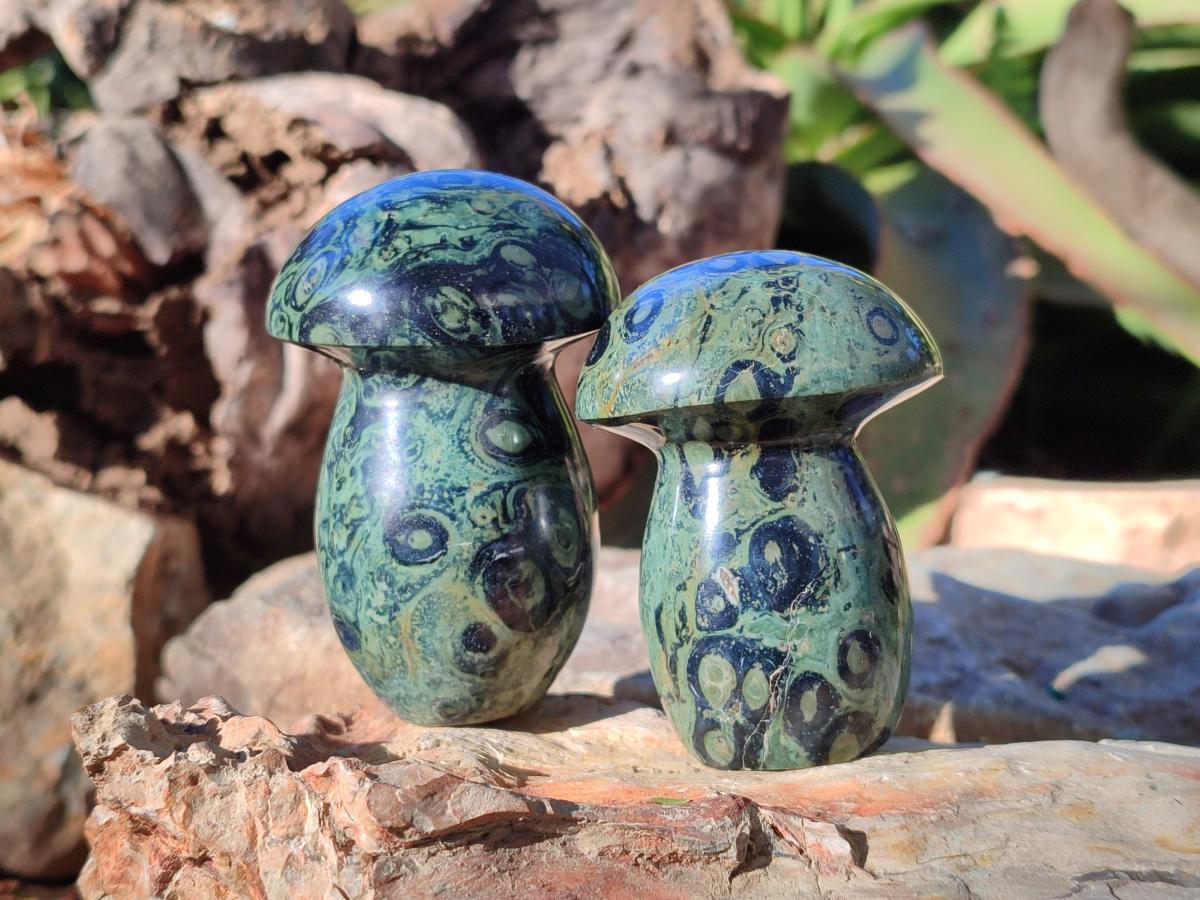 Polished Stromatolite "Kambaba Jasper" Mushrooms x 12 From Katsepy, Madagascar - Toprock Gemstones and Minerals 
