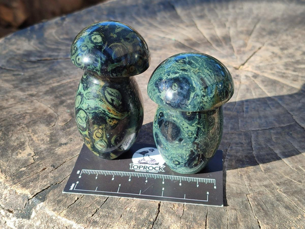 Polished Stromatolite "Kambaba Jasper" Mushrooms x 12 From Katsepy, Madagascar - Toprock Gemstones and Minerals 