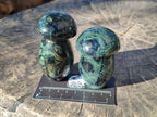 Polished Stromatolite "Kambaba Jasper" Mushrooms x 12 From Katsepy, Madagascar - Toprock Gemstones and Minerals 