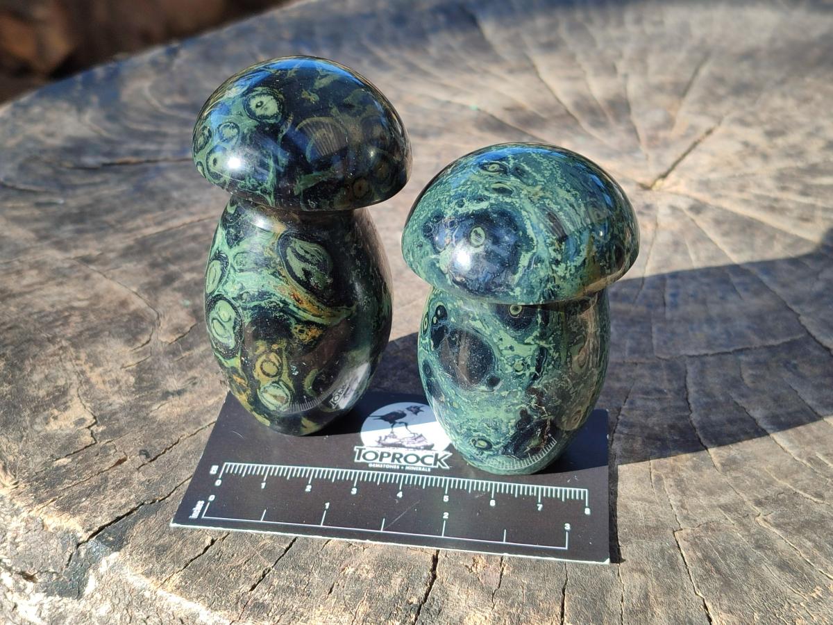 Polished Stromatolite "Kambaba Jasper" Mushrooms x 12 From Katsepy, Madagascar - Toprock Gemstones and Minerals 