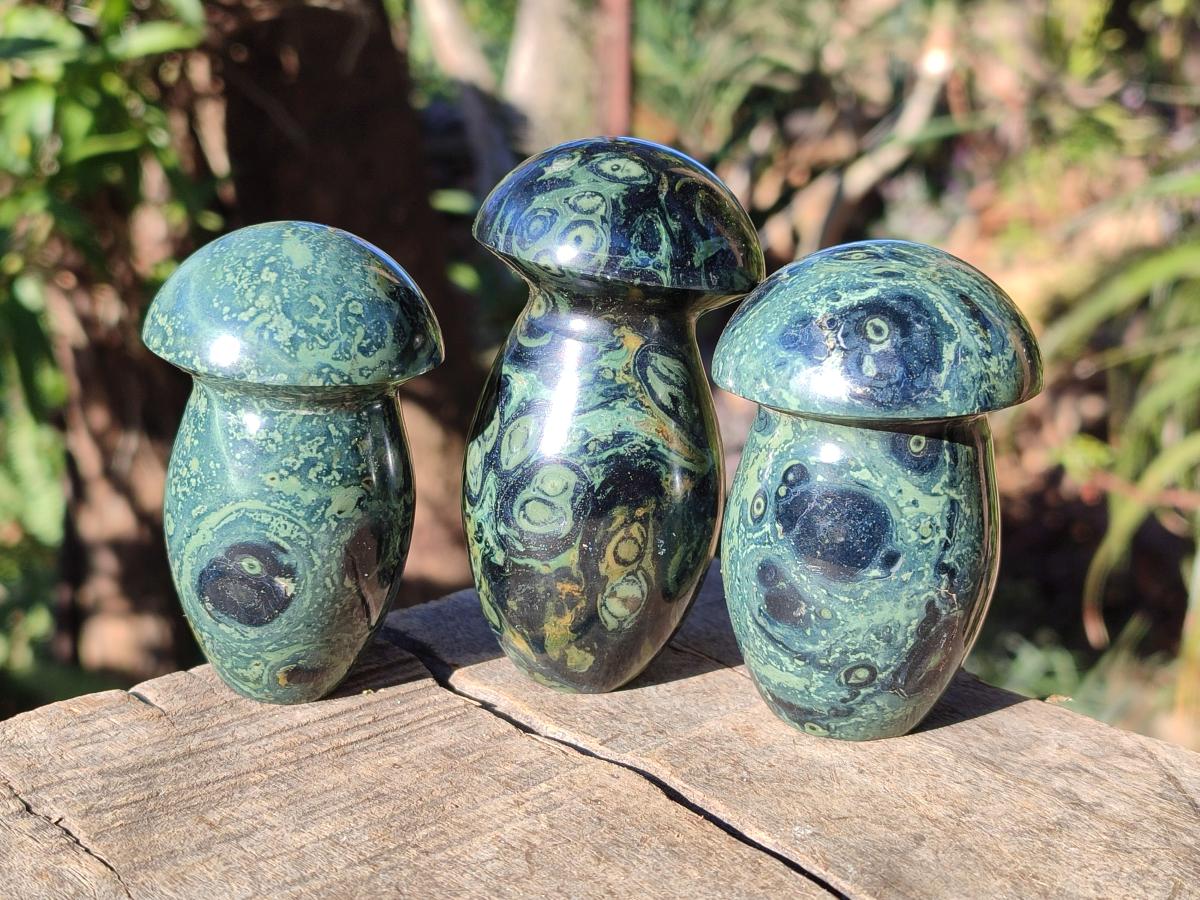 Polished Stromatolite "Kambaba Jasper" Mushrooms x 12 From Katsepy, Madagascar - Toprock Gemstones and Minerals 