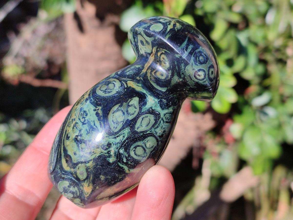 Polished Stromatolite "Kambaba Jasper" Mushrooms x 12 From Katsepy, Madagascar - Toprock Gemstones and Minerals 