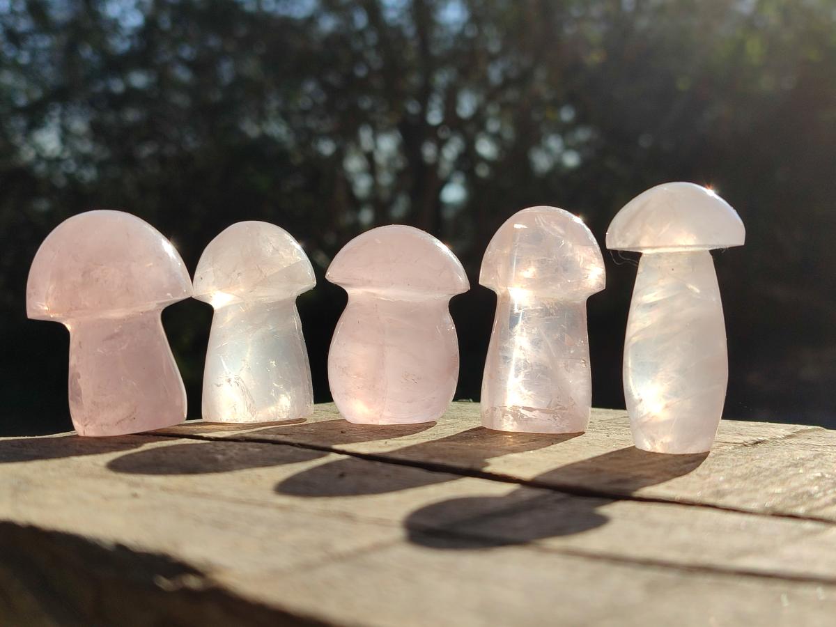 Polished Gemmy Rose Quartz Mushrooms x 24 From Madagascar