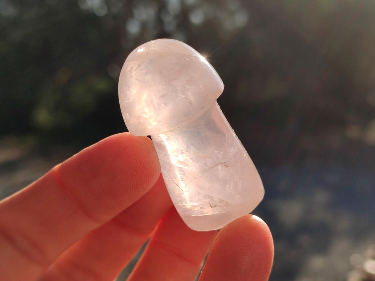 Polished Gemmy Rose Quartz Mushrooms x 24 From Madagascar