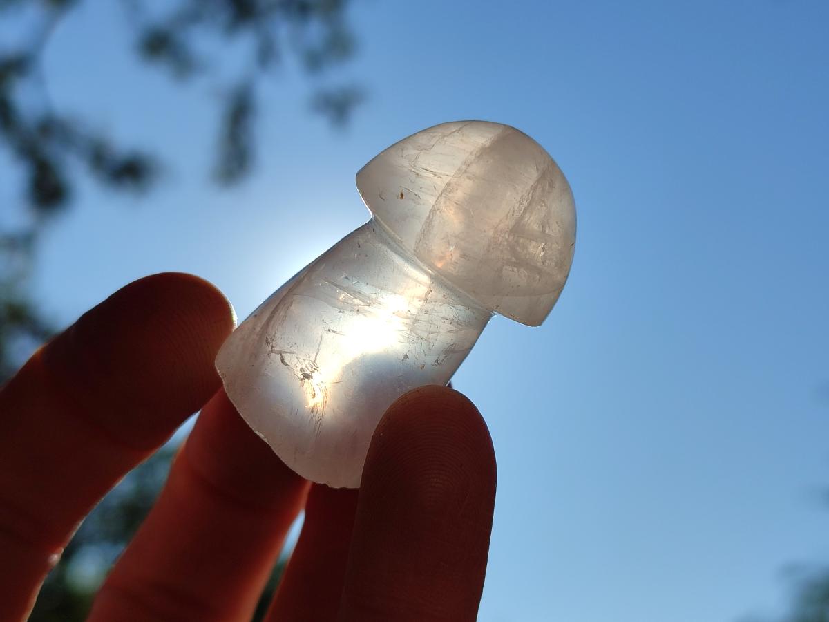 Polished Gemmy Rose Quartz Mushrooms x 24 From Madagascar