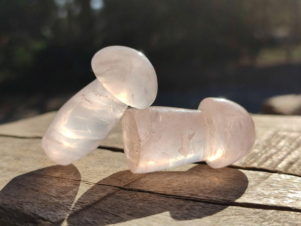 Polished Gemmy Rose Quartz Mushrooms x 24 From Madagascar