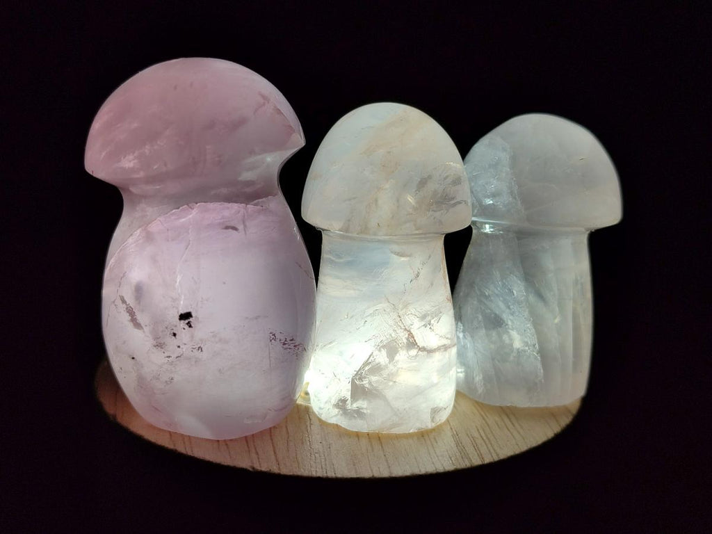 Polished Gemmy Rose Quartz Mushrooms x 24 From Madagascar