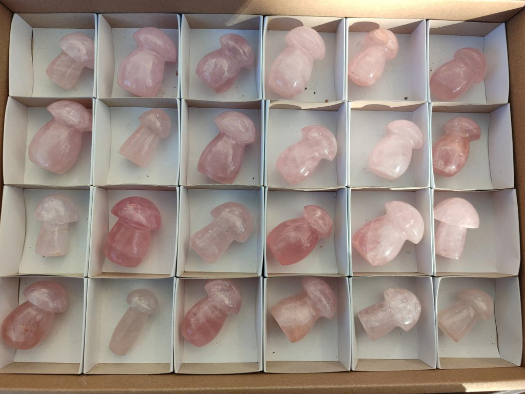 Polished Gemmy Rose Quartz Mushrooms x 24 From Madagascar