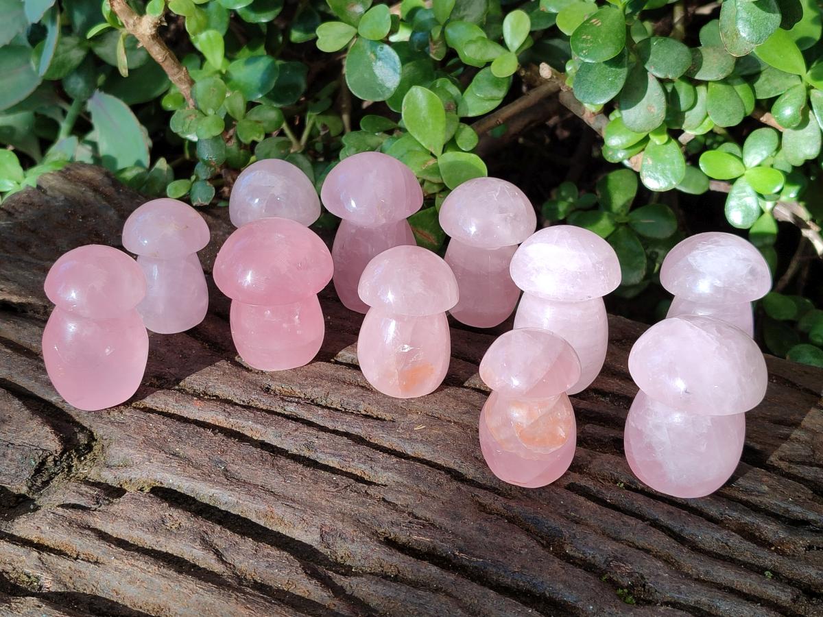Polished Gemmy Rose Quartz Mushrooms x 24 From Madagascar