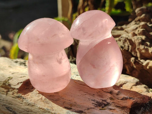 Polished Gemmy Rose Quartz Mushrooms x 24 From Madagascar