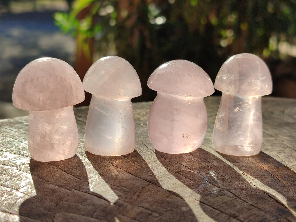 Polished Gemmy Rose Quartz Mushrooms x 24 From Madagascar