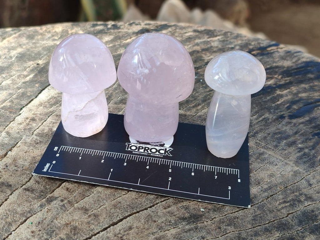 Polished Gemmy Rose Quartz Mushrooms x 24 From Madagascar