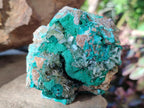 Natural Rare Bladed Barite Specimens with Malachite x 3 From Shangulowé Mine, Congo