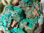 Natural Rare Bladed Barite Specimens with Malachite x 3 From Shangulowé Mine, Congo