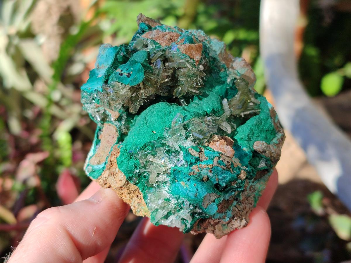 Natural Rare Bladed Barite Specimens with Malachite x 3 From Shangulowé Mine, Congo