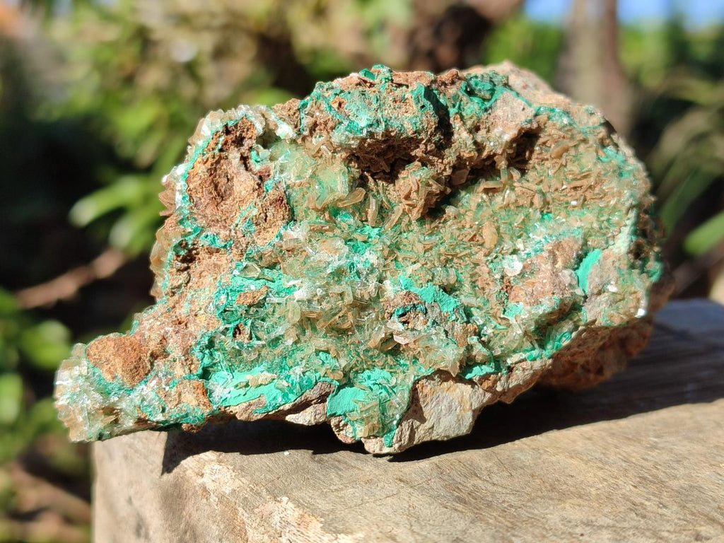 Natural Rare Bladed Barite Specimens with Malachite x 3 From Shangulowé Mine, Congo