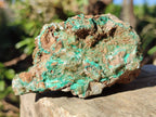 Natural Rare Bladed Barite Specimens with Malachite x 3 From Shangulowé Mine, Congo