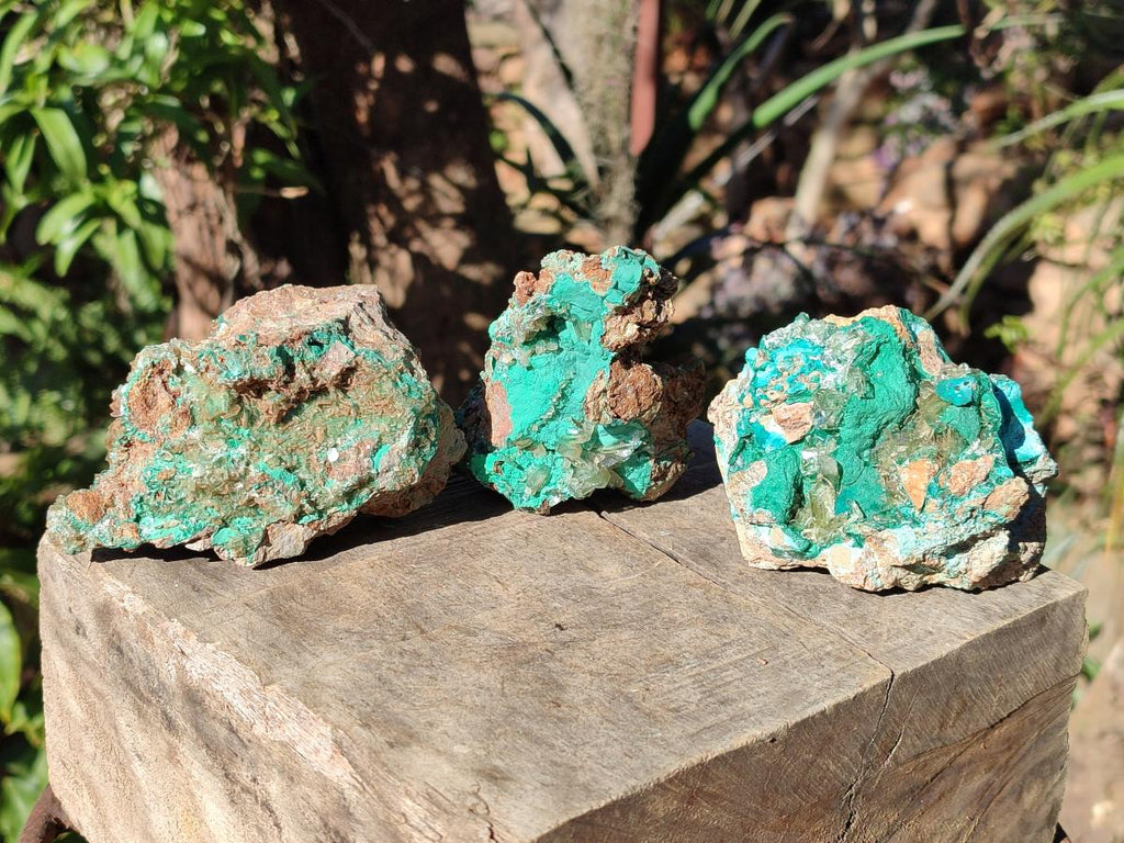 Natural Rare Bladed Barite Specimens with Malachite x 3 From Shangulowé Mine, Congo