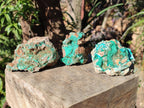Natural Rare Bladed Barite Specimens with Malachite x 3 From Shangulowé Mine, Congo