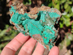 Natural Rare Bladed Barite Specimens with Malachite x 3 From Shangulowé Mine, Congo