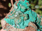 Natural Rare Bladed Barite Specimens with Malachite x 3 From Shangulowé Mine, Congo