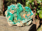 Natural Rare Bladed Barite Specimens with Malachite x 3 From Shangulowé Mine, Congo
