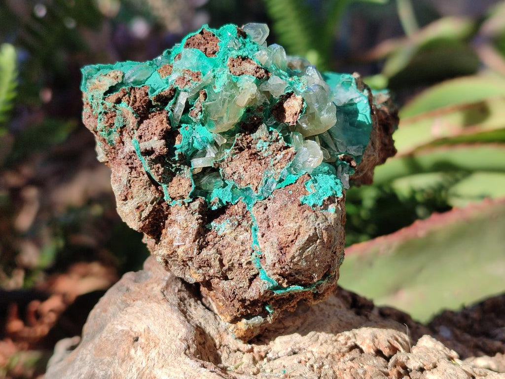 Natural Rare Bladed Barite Specimens with Malachite x 3 From Shangulowé Mine, Congo