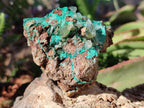 Natural Rare Bladed Barite Specimens with Malachite x 3 From Shangulowé Mine, Congo