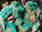 Natural Rare Bladed Barite Specimens with Malachite x 3 From Shangulowé Mine, Congo