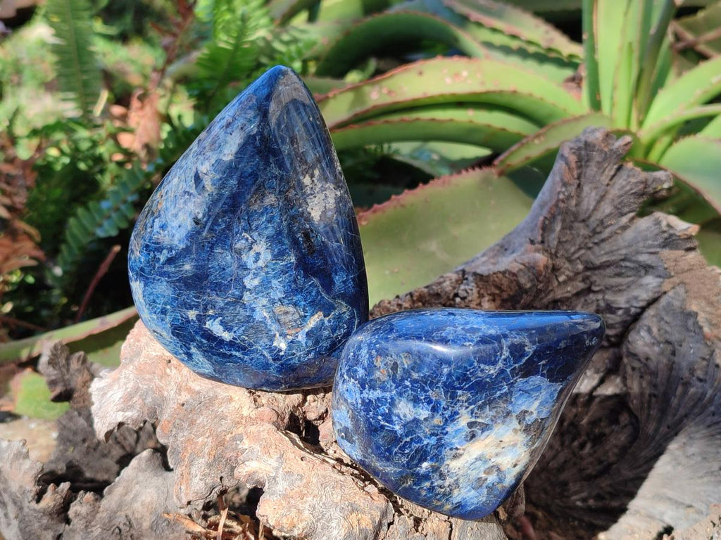 Polished Dumortierite Standing Display Pieces x 6 From Madagascar - Toprock Gemstones and Minerals 
