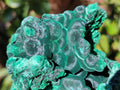 Natural Cabinet Size Silky Malachite Specimens x 2 From Kasompe, Congo - Toprock Gemstones and Minerals 