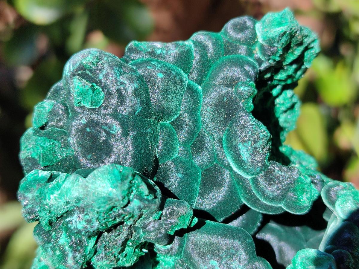 Natural Cabinet Size Silky Malachite Specimens x 2 From Kasompe, Congo - Toprock Gemstones and Minerals 