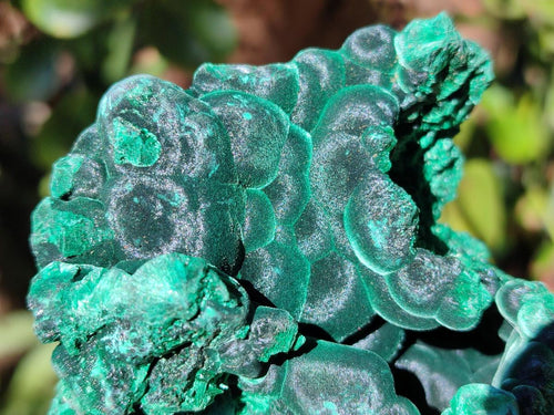 Natural Cabinet Size Silky Malachite Specimens x 2 From Kasompe, Congo - Toprock Gemstones and Minerals 