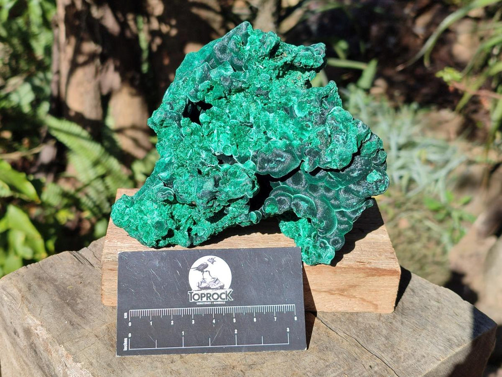 Natural Cabinet Size Silky Malachite Specimens x 2 From Kasompe, Congo - Toprock Gemstones and Minerals 