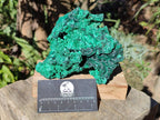 Natural Cabinet Size Silky Malachite Specimens x 2 From Kasompe, Congo - Toprock Gemstones and Minerals 