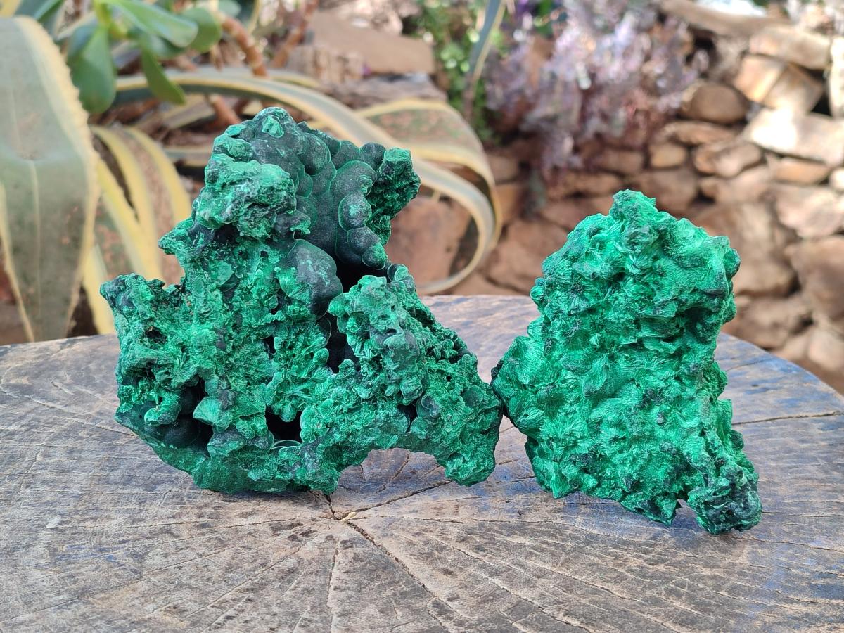Natural Cabinet Size Silky Malachite Specimens x 2 From Kasompe, Congo - Toprock Gemstones and Minerals 
