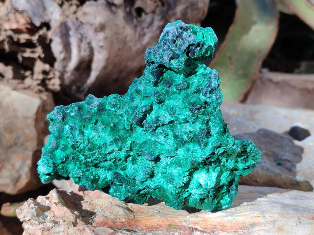 Natural Cabinet Size Silky Malachite Specimens x 2 From Kasompe, Congo - Toprock Gemstones and Minerals 
