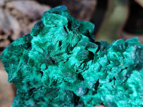 Natural Cabinet Size Silky Malachite Specimens x 2 From Kasompe, Congo - Toprock Gemstones and Minerals 