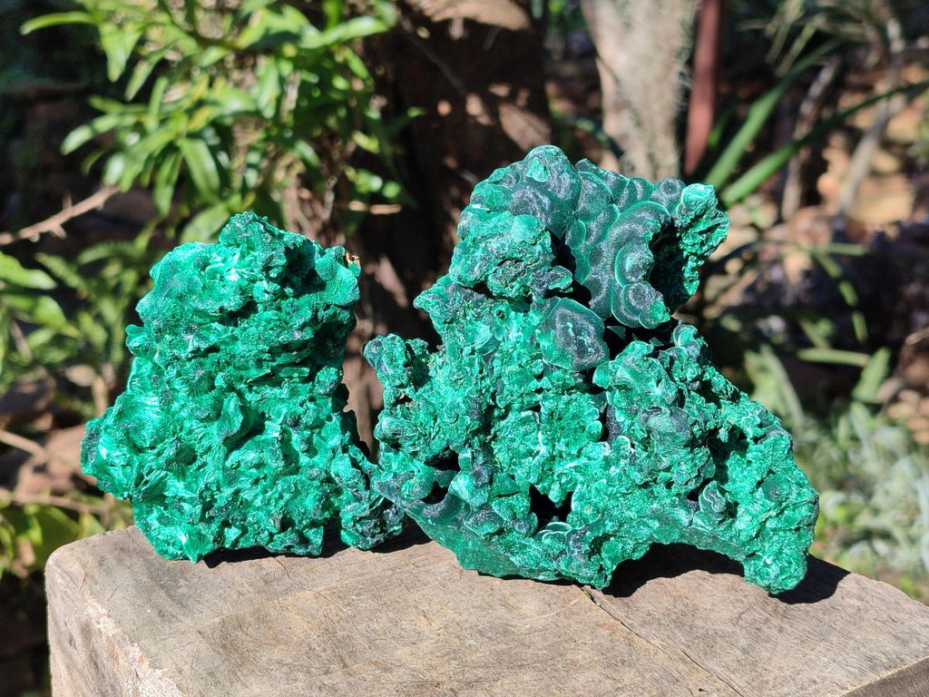 Natural Cabinet Size Silky Malachite Specimens x 2 From Kasompe, Congo - Toprock Gemstones and Minerals 