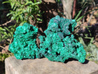 Natural Cabinet Size Silky Malachite Specimens x 2 From Kasompe, Congo - Toprock Gemstones and Minerals 