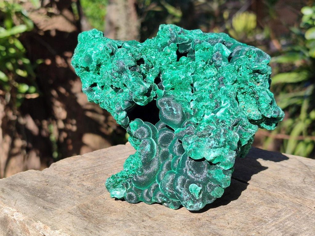 Natural Cabinet Size Silky Malachite Specimens x 2 From Kasompe, Congo - Toprock Gemstones and Minerals 