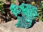 Natural Cabinet Size Silky Malachite Specimens x 2 From Kasompe, Congo - Toprock Gemstones and Minerals 