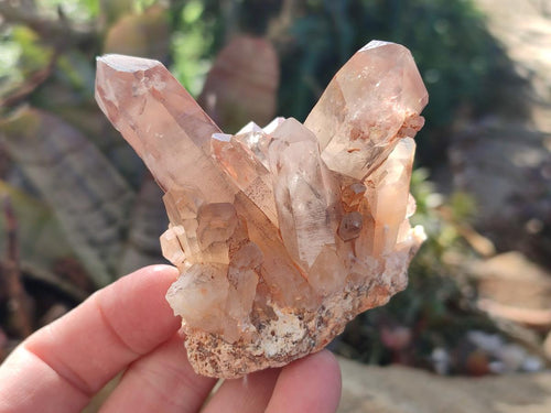 Natural Red Hematoid Phantom Quartz Crystal Clusters x 6 From Karoi, Zimbabwe - Toprock Gemstones and Minerals 