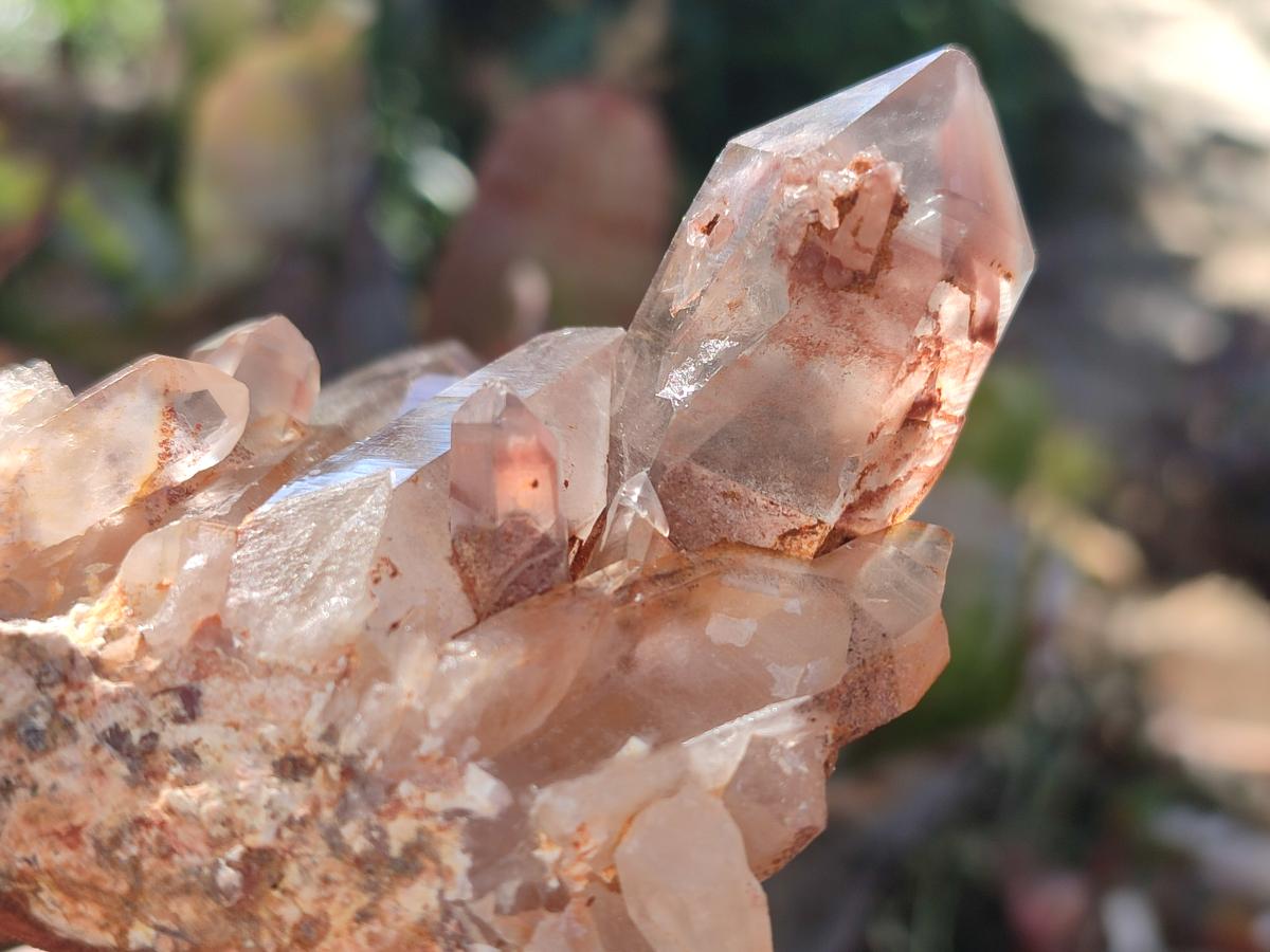 Natural Red Hematoid Phantom Quartz Crystal Clusters x 6 From Karoi, Zimbabwe - Toprock Gemstones and Minerals 