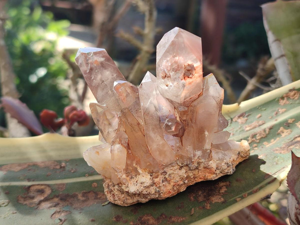 Natural Red Hematoid Phantom Quartz Crystal Clusters x 6 From Karoi, Zimbabwe - Toprock Gemstones and Minerals 