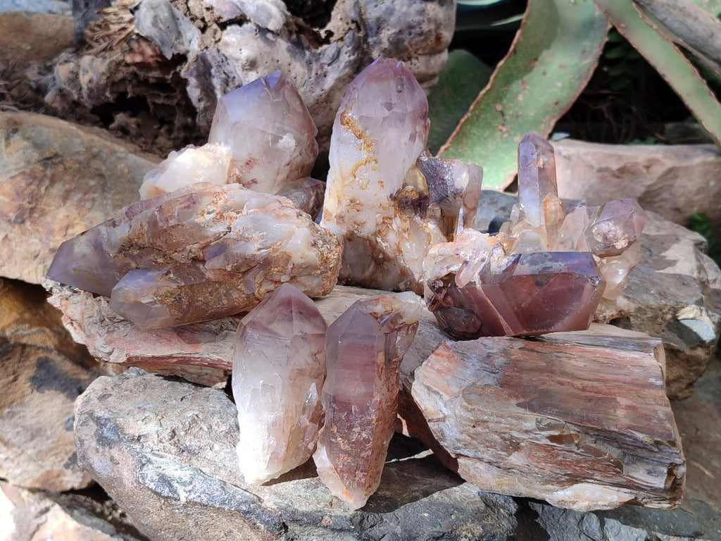 Natural Red Hematoid Phantom Quartz Crystal Clusters x 6 From Karoi, Zimbabwe - Toprock Gemstones and Minerals 